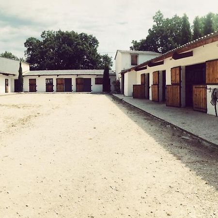Maison Au Milieu Des Chevaux LʼIsle-sur-la-Sorgue Екстериор снимка