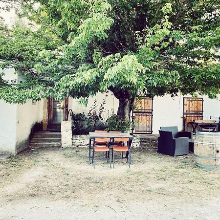Maison Au Milieu Des Chevaux LʼIsle-sur-la-Sorgue Екстериор снимка